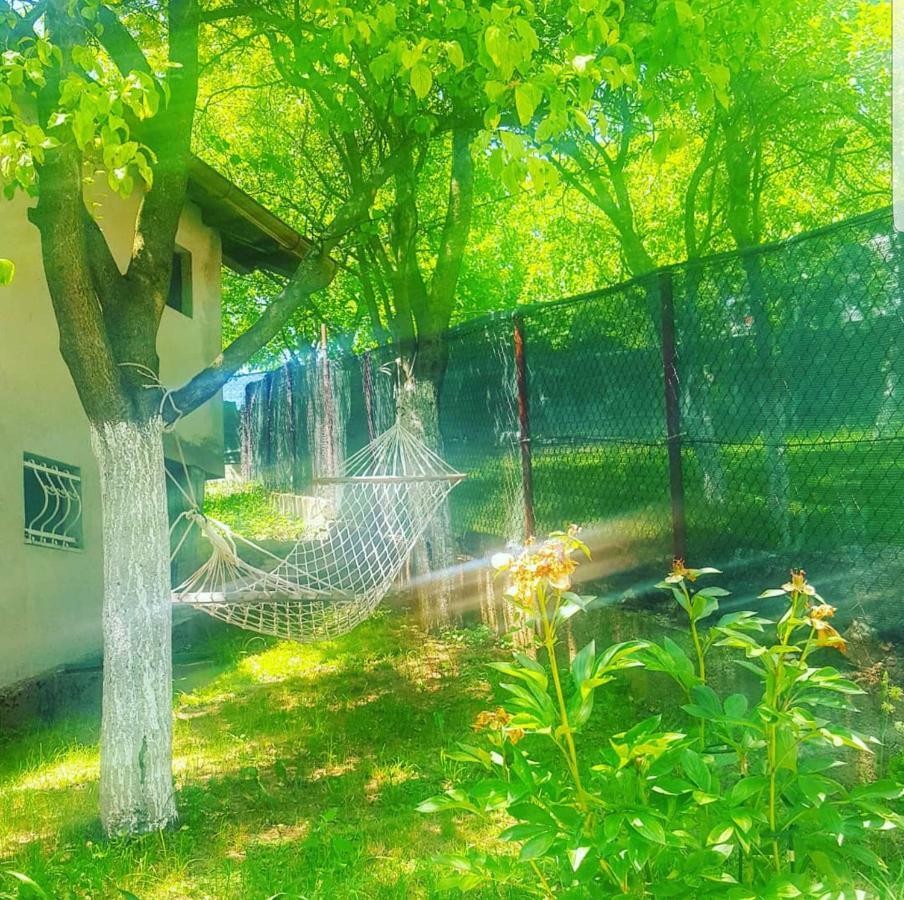 Keep Calm Garden Βίλα Σαράγεβο Εξωτερικό φωτογραφία